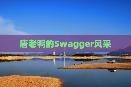 唐老鸭的Swagger风采